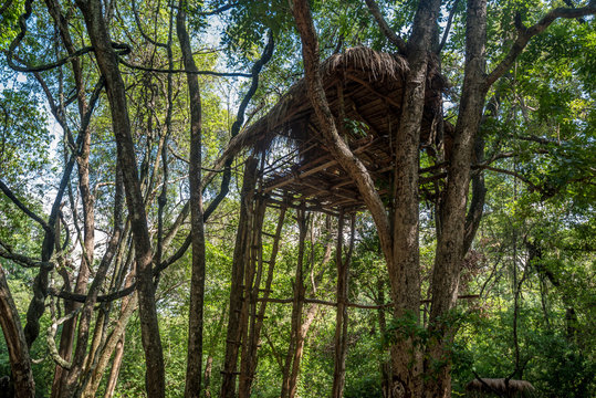 House of vedda people