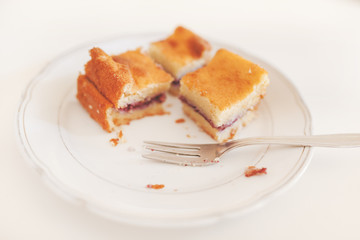Slices of gluten-free homemade cakes with blueberry filling on the plate. Post processed with matte filter.