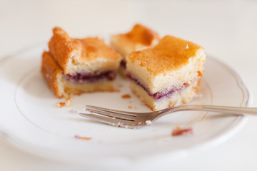 Slices of gluten-free homemade cakes with blueberry filling on the plate.