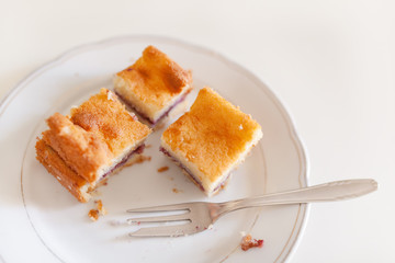 Slices of gluten-free homemade cakes with blueberry filling on the plate.