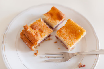 Slices of gluten-free homemade cakes with blueberry filling on the plate.