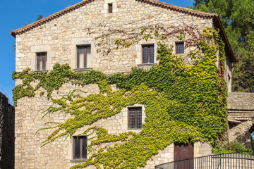 Fototapeta na wymiar Front of the house, overgrown with ivy in the Spanish city of Gerona