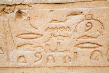 stone wall of Egyptian Edfu Temple of falcon god Horus, with carving figures and hieroglyphs, in Egypt, Africa
