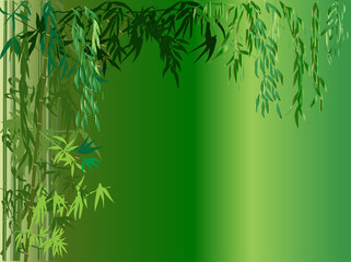 green bamboo plants illustration