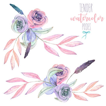 Fototapeta Set with isolated watercolor floral bouquets from tender flowers and leaves in pink and purple pastel shades, hand drawn on a white background