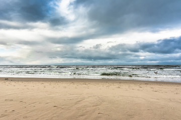 Seaguls over beach, landscape with panoramic sea view.