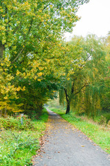 Autumn footpath alongside a rural river