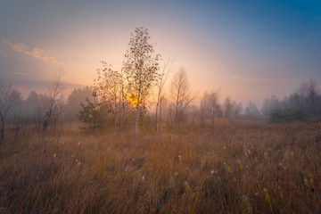 Fototapeta premium Autumnal foggy sunrise landscape.