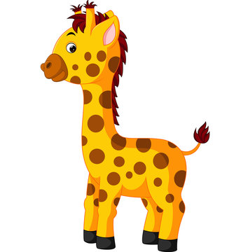 Cute giraffe cartoon of illustration

