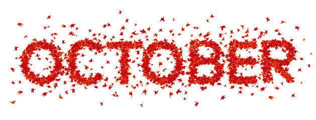 Obraz premium Origami bird.Vector illustration.Polygonal shape.Art of paper folding.Japan crane,pigeon. Date, month the year. October