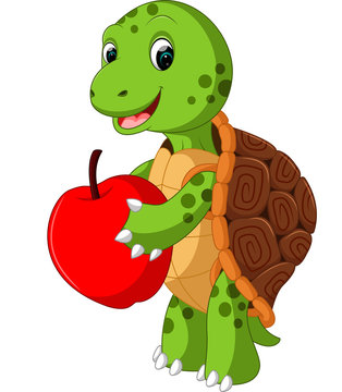 Cute turtle cartoon

