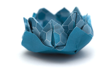 origami water lily model