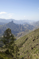 Central Gra Canaria in December