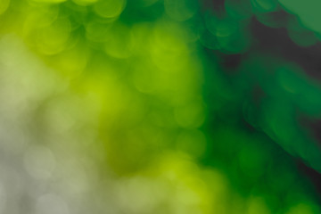 Obraz premium green bokeh light , for graphic background