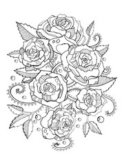 Roses coloring book for adults vector