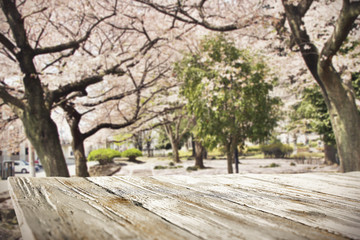 wooden desk space and trees with flowers 