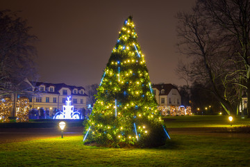Beautiful Christmas tree illuminated at the park oliwski of Gdansk, Poland