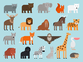 Zoo animals flat colorful icons on blue background. Vector illustration