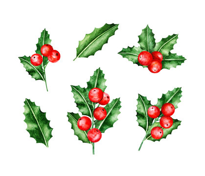 Holly Berry Brunches. Christmas wreath. Christmas Symbols. Watercolor illustration