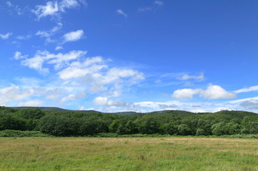 北海道風景　原野
