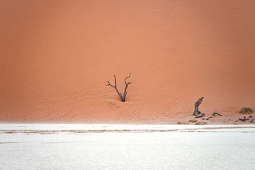 Sossusvlei, Namibia