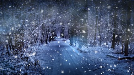 Christmas seamless looping with falling snow. Magic Christmas background with snow covered road in winter forest. 4k - Powered by Adobe