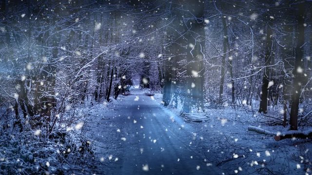 Christmas seamless looping with falling snow. Magic Christmas background with snow covered road in winter forest. 4k