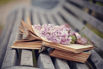 The forgotten books and branch of a lilac on a bench.