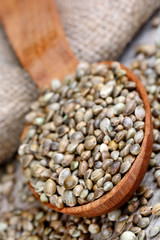 Hemp seeds in a wooden spoon