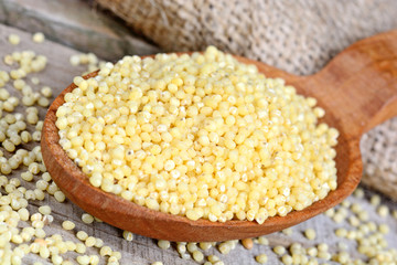 Millet seeds in a wooden spoon