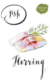Two pieces of herring with dill