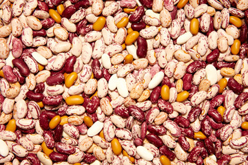 Haricot beans texture. Food background. Top view