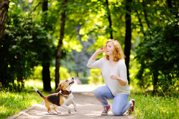 Young beautiful woman playing with Beagle dog