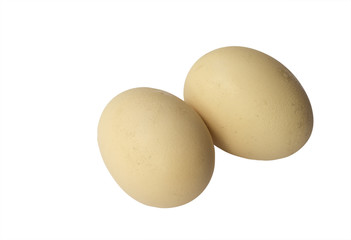 Two eggs isolated