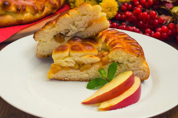 Slice of mouth watering rustic apple pie. Top view. Close-up