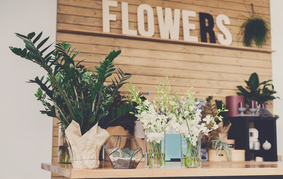 Flower shop interior, small business of floral design studio