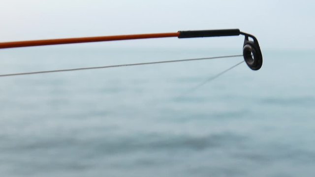 Fishing Rod End and Line Macro 