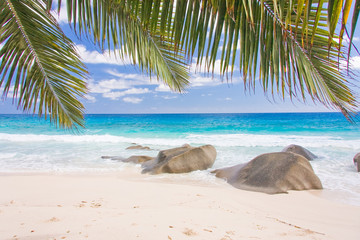 Seychelles plage cocotiers, anse Takamaka, Mahé