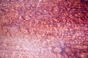 Wooden texture and background