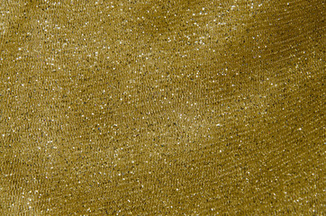 The fabric is mesh with sequins