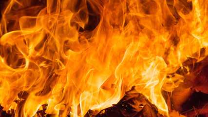 Blazing fire flame background