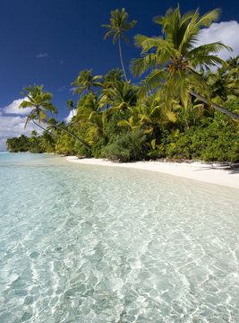 Tropical Paradise - Aitutaki - Cook Islands