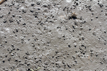 Muddy Texture and background