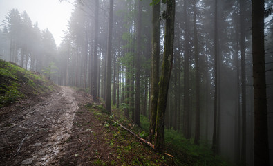 Naklejka premium mountain road