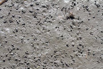 Muddy Texture and background