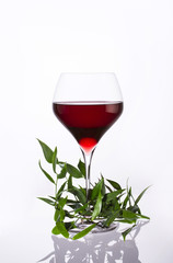 glass of wine for special occasions