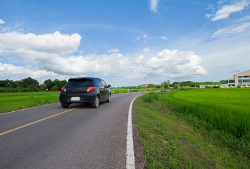 Fototapeta na wymiar A black car on the road that pass trough green rice field