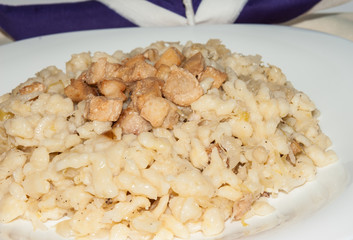Halusky with a cabbage