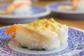 炙り海老チーズ寿司