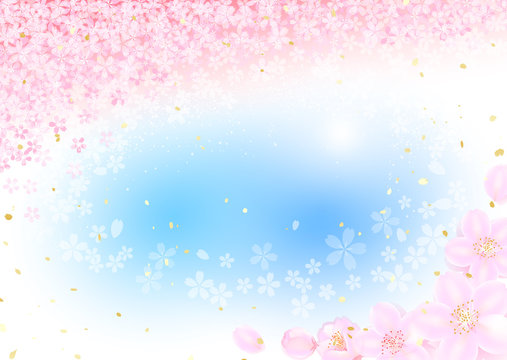 さくら　青空